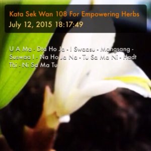 Dork Tong Flower - Kata Sek Wan Chanting Tutorial Cover Image