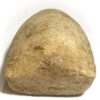 Pra Luang Por Toh Luang Por Guay 2500 Nuea Pong Nam Man - Image 13