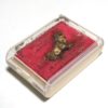 Sacred Lion Amulet of Ajarn Bua 2519 BE - Image 2